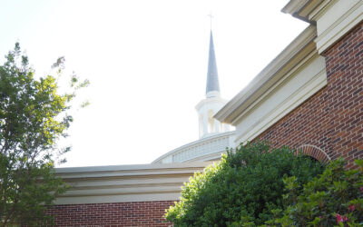 Stewardship of Our Sacred Space